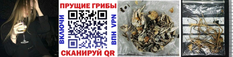 Галлюциногенные грибы Magic Shrooms Заозёрск